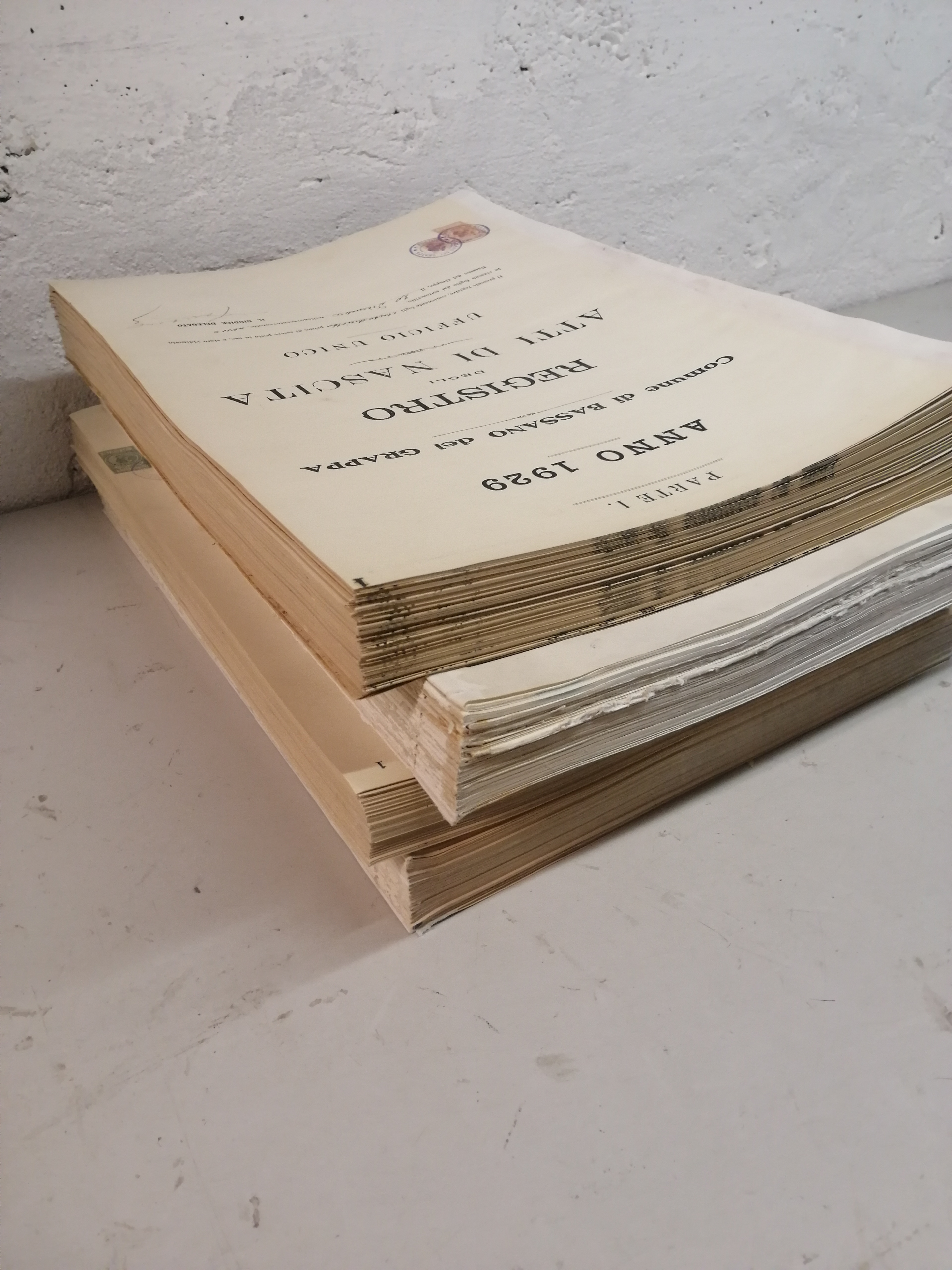 Registro storico del Comune di Bassano del Grappa 1929